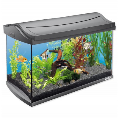 Obrázok TETRA akvárium LED antracit  60L set - 57x35x30cm