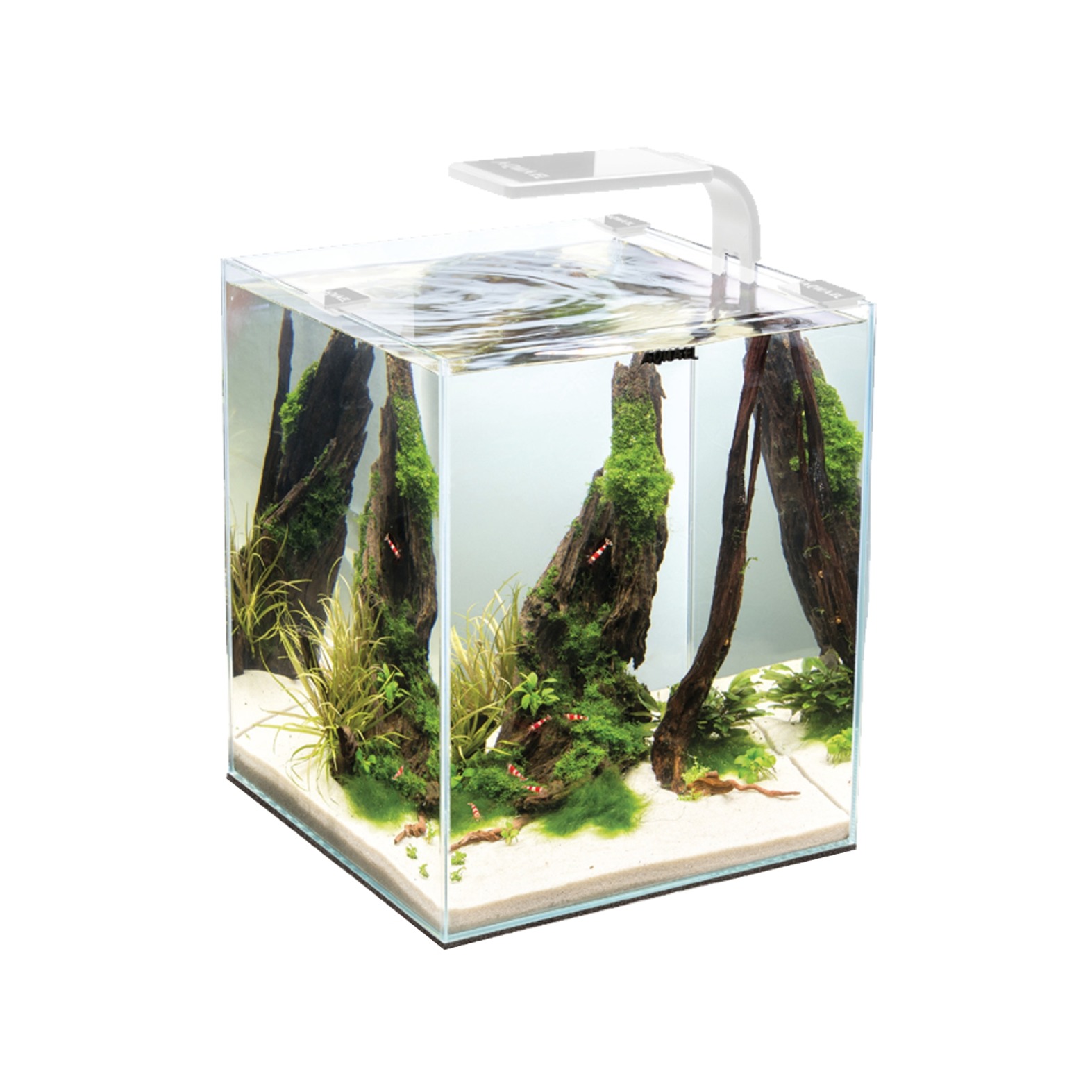 Shrimp Smart D&N 10 ECOM garnalenset, wit