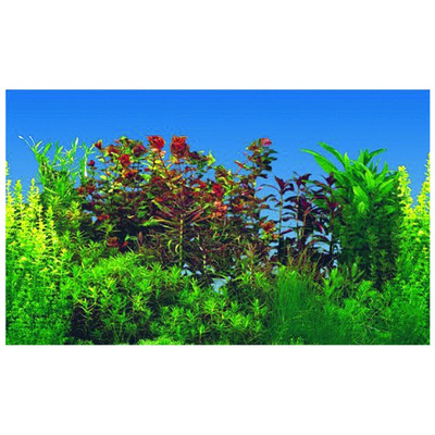 Pozad.rastl.30cm/15m  jednostranné