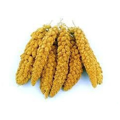 Proso senegálske 90g