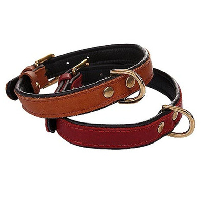 Obojok hnedý koža SUPER 12mmx37cm