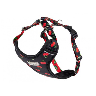 Postroj Discoveery Be Happy M 25-40 [b] 35-50 [d] cherry Amiplay