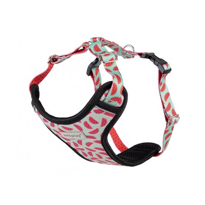 Postroj Discoveery Be Happy XL 40-60 [b] 60-85 [d] watermelon Amiplay